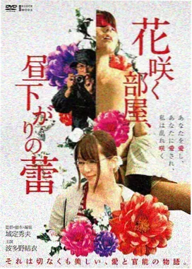 章回预览
